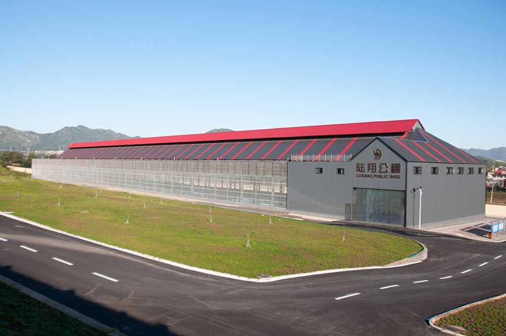 河北陆翔国际赛鸽公棚