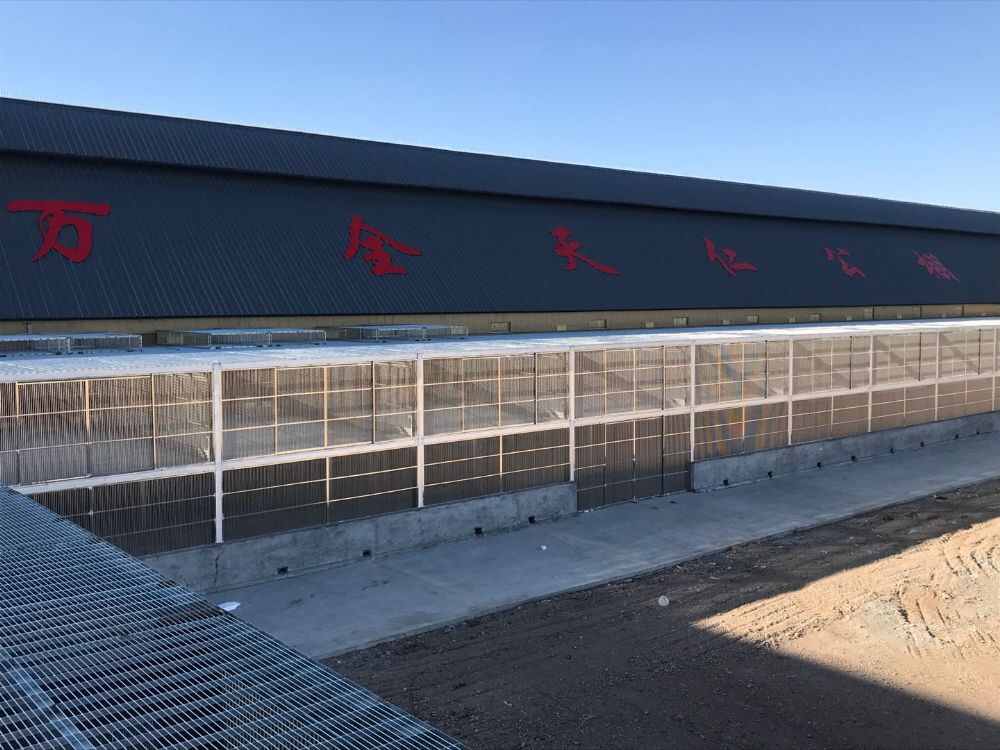 河北张家口天仁赛鸽公棚