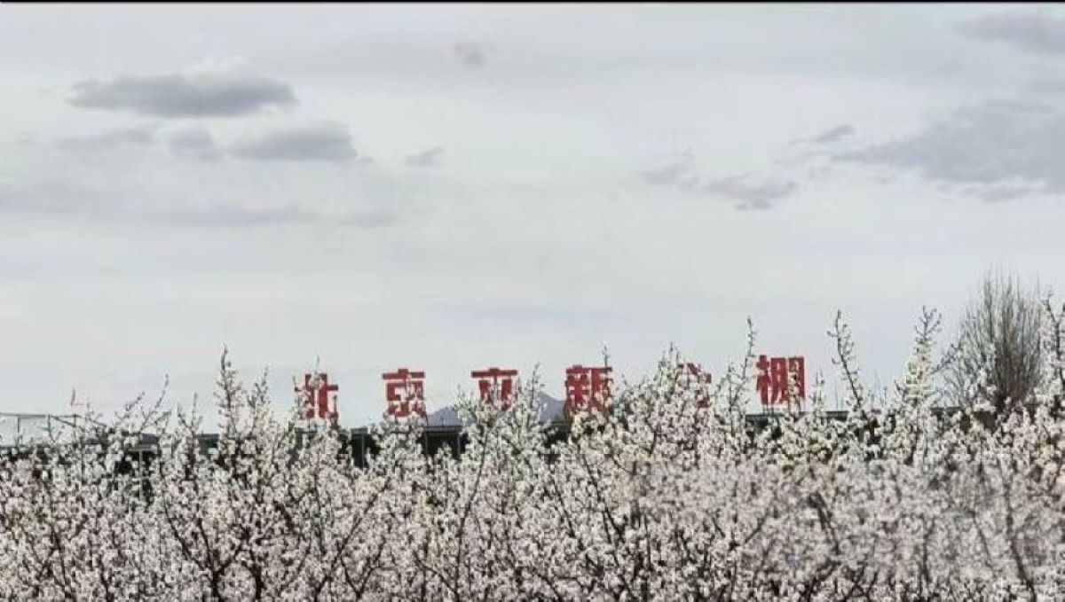 北京立新公棚