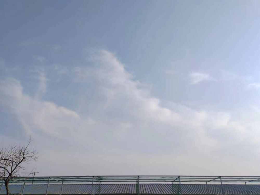 河北君升赛鸽公棚(春棚)