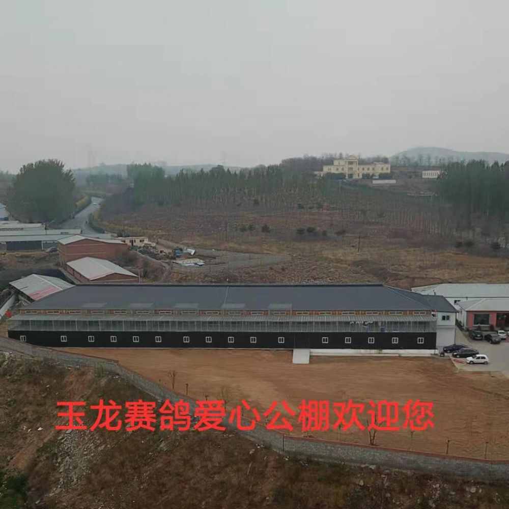 秦皇岛市玉龙赛鸽爱心公棚