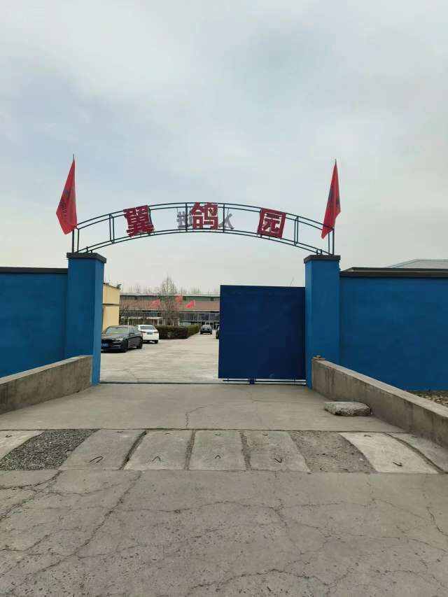 京东翼鸽园赛鸽公棚