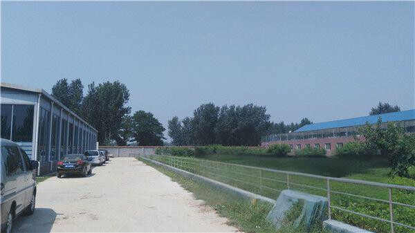 北京正明赛鸽公棚