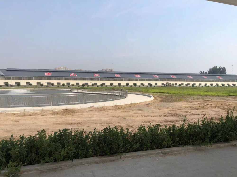 唐山启航国际赛鸽公棚