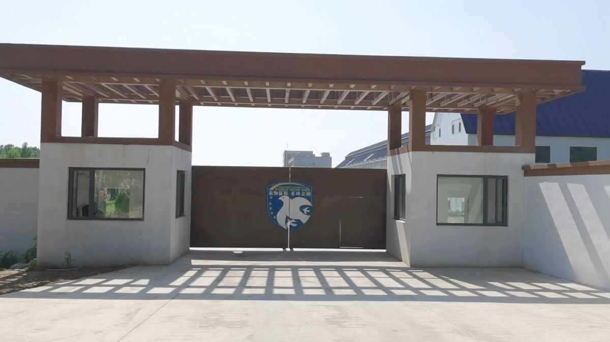 长阳国际赛鸽公棚