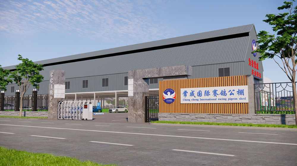 常成国际赛鸽公棚