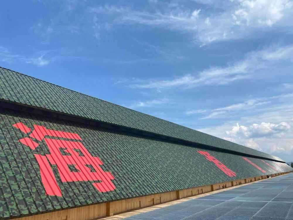 张家口海源国际赛鸽公棚(秋棚)