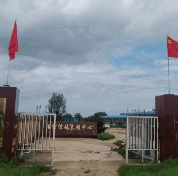河北蔚县百信信鸽养殖中心