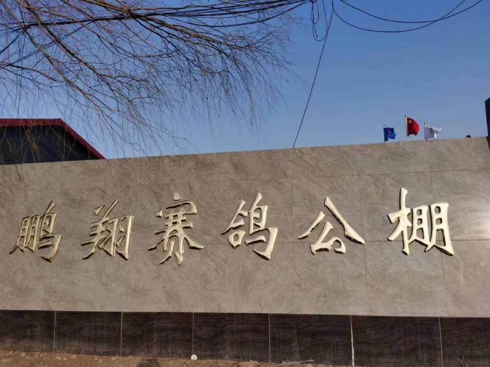 河北鹏翔国际赛鸽公棚（春棚）
