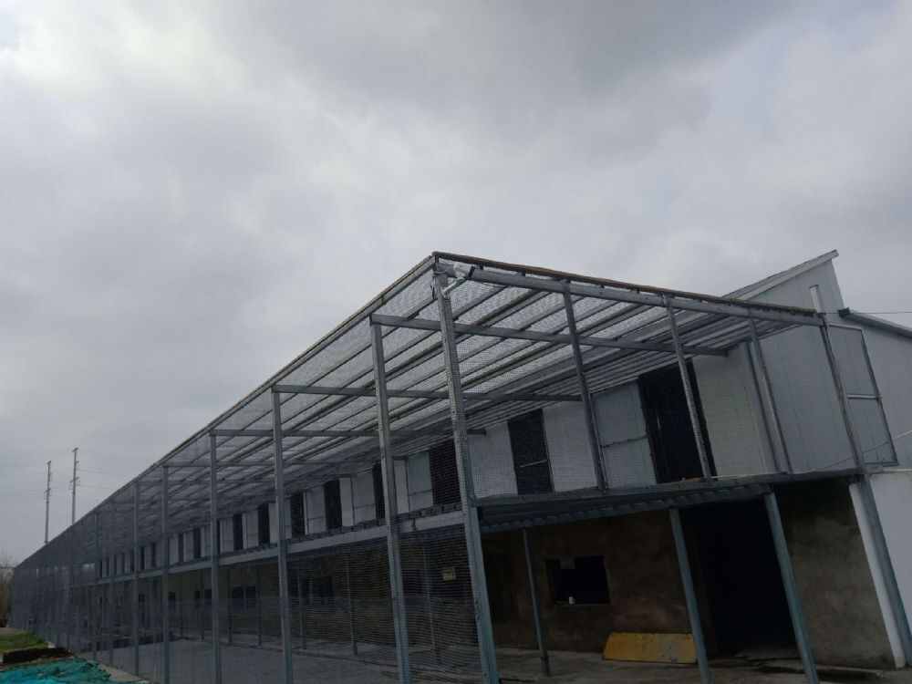 安徽省合肥市玉庆赛鸽中心