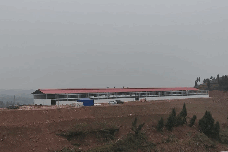 重庆金通赛鸽中心