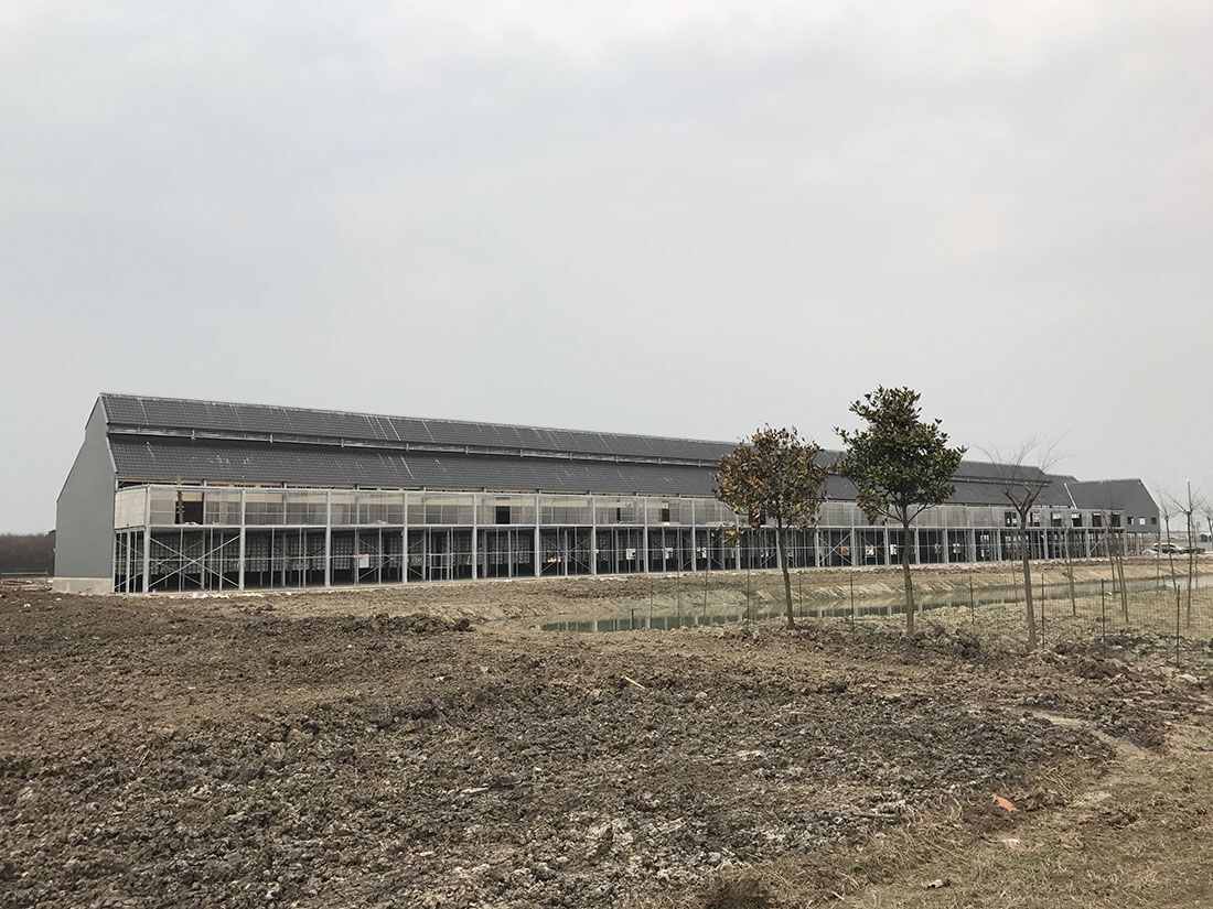 常州龙翔赛鸽中心