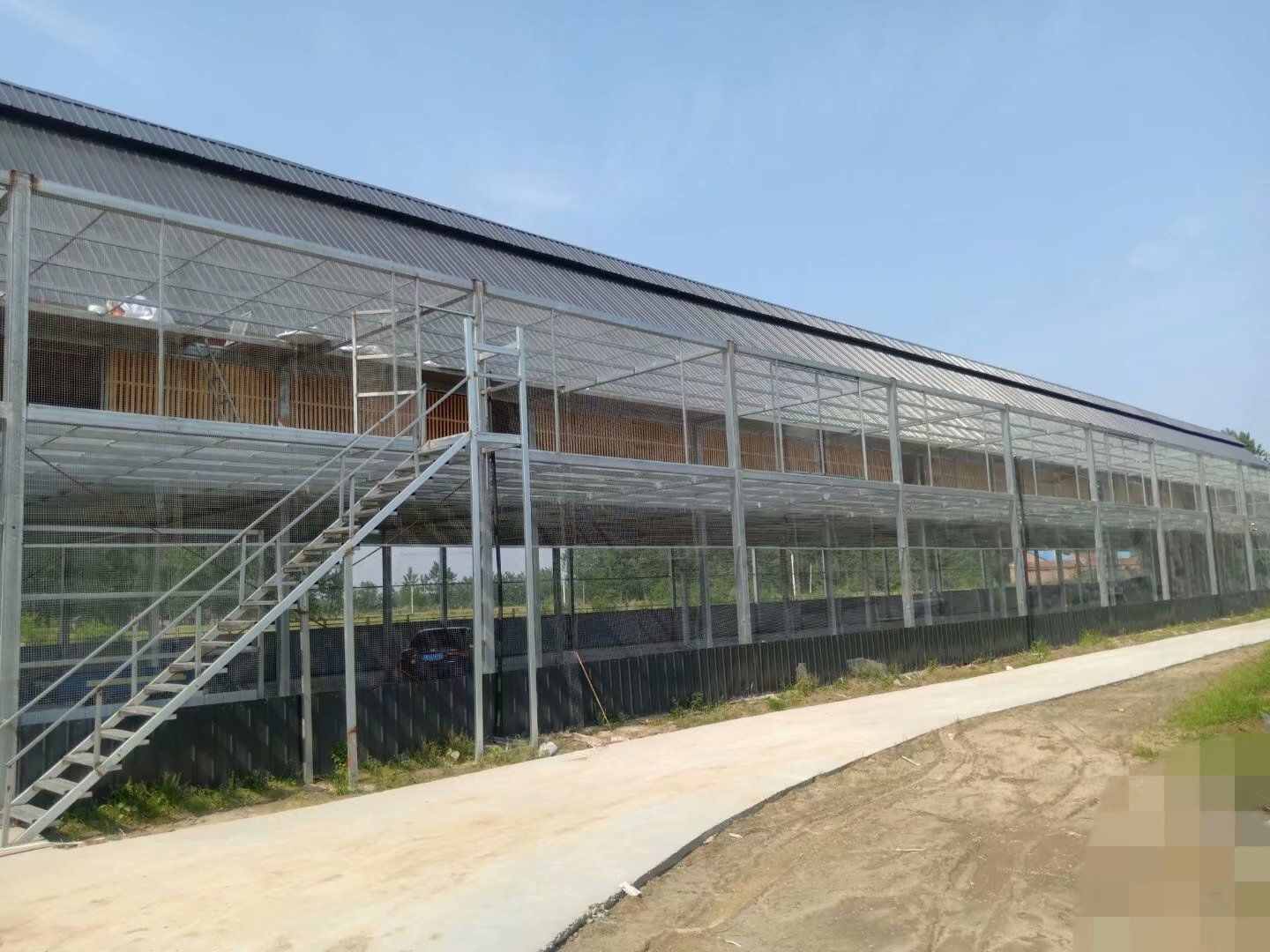 江苏凯亚赛鸽公棚(春棚)