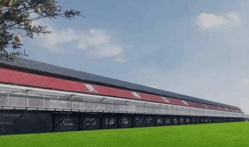 苏州灵峰启园赛鸽公棚
