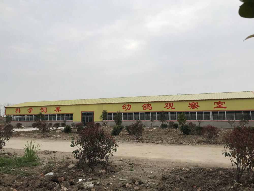 江苏宝宏赛鸽公棚(秋棚)
