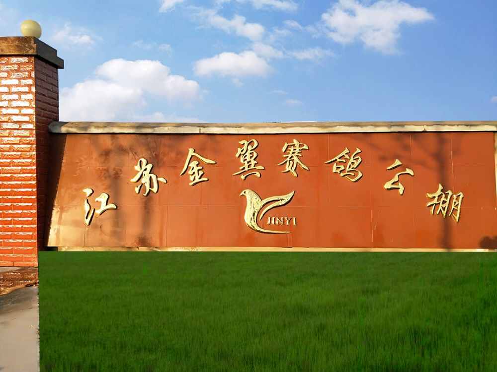 江苏金翼赛鸽公棚