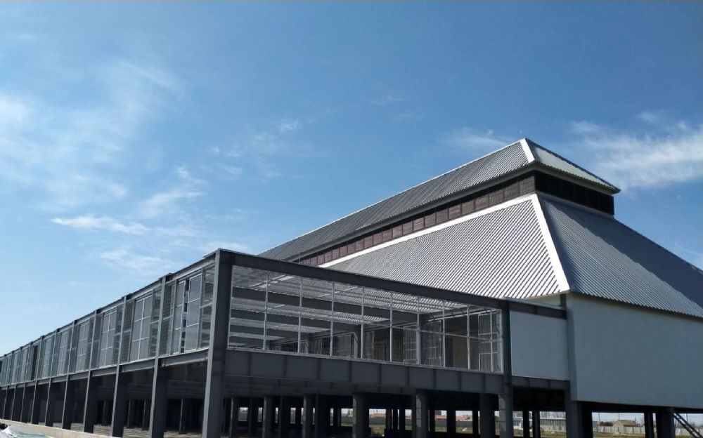 江苏瑞达国际赛鸽公棚（春棚）