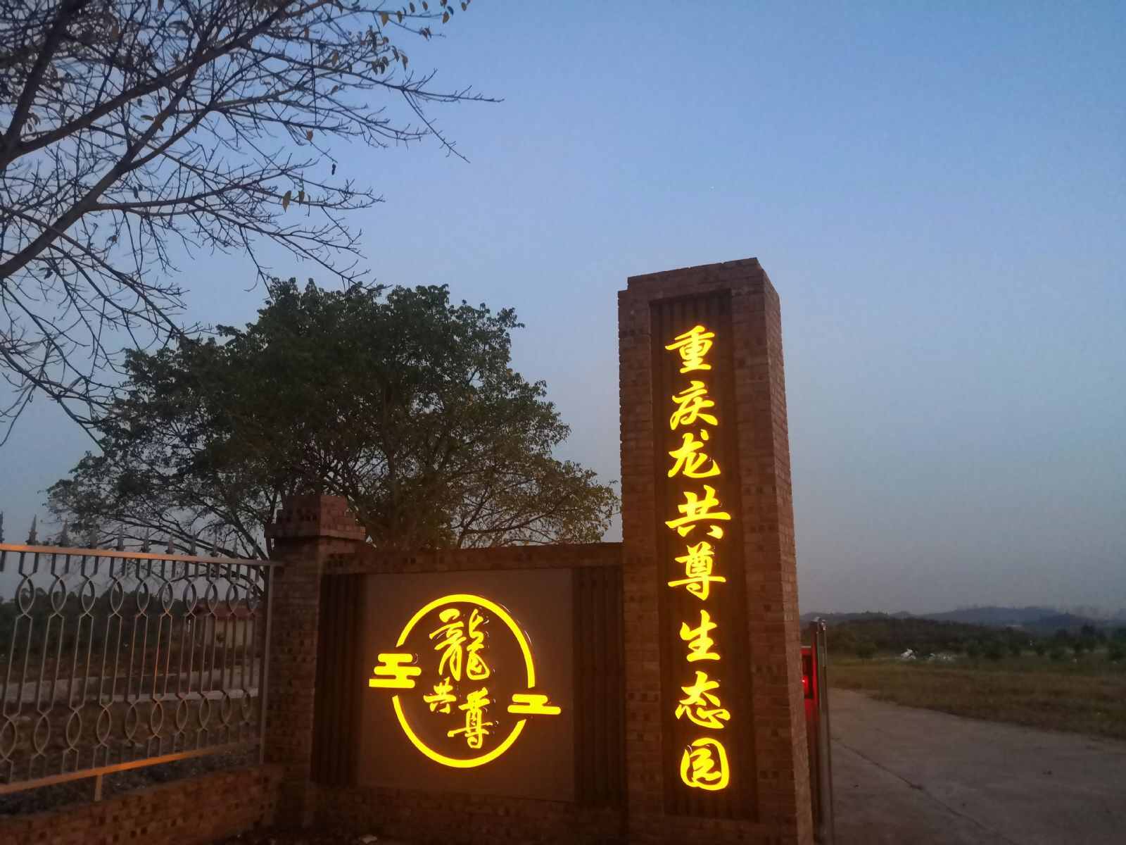 重庆龙共尊(金通春棚)赛鸽中心