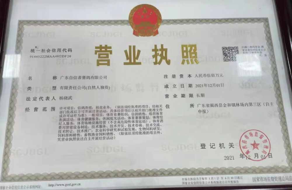 广东自信者赛鸽公棚