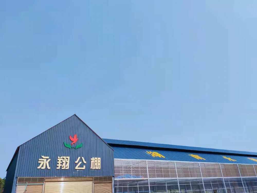 湖南永翔国际赛鸽公棚