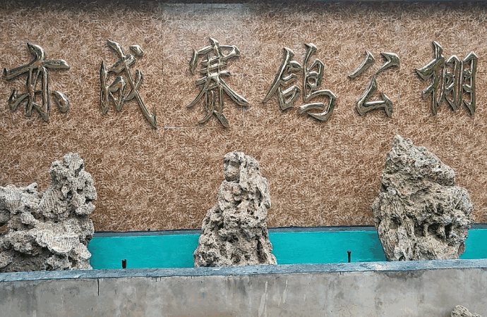 河南省平顶山市亦成赛鸽中心