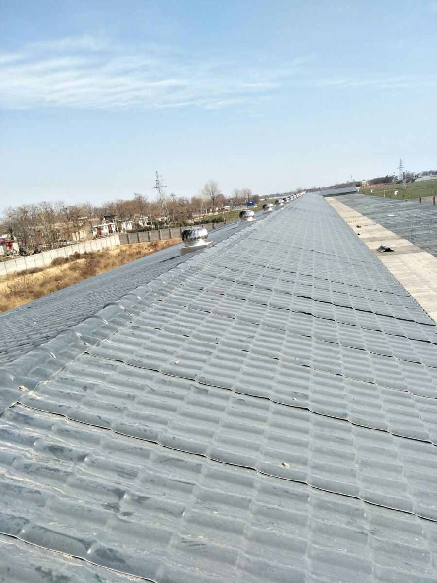 陕西壹佰赛鸽公棚