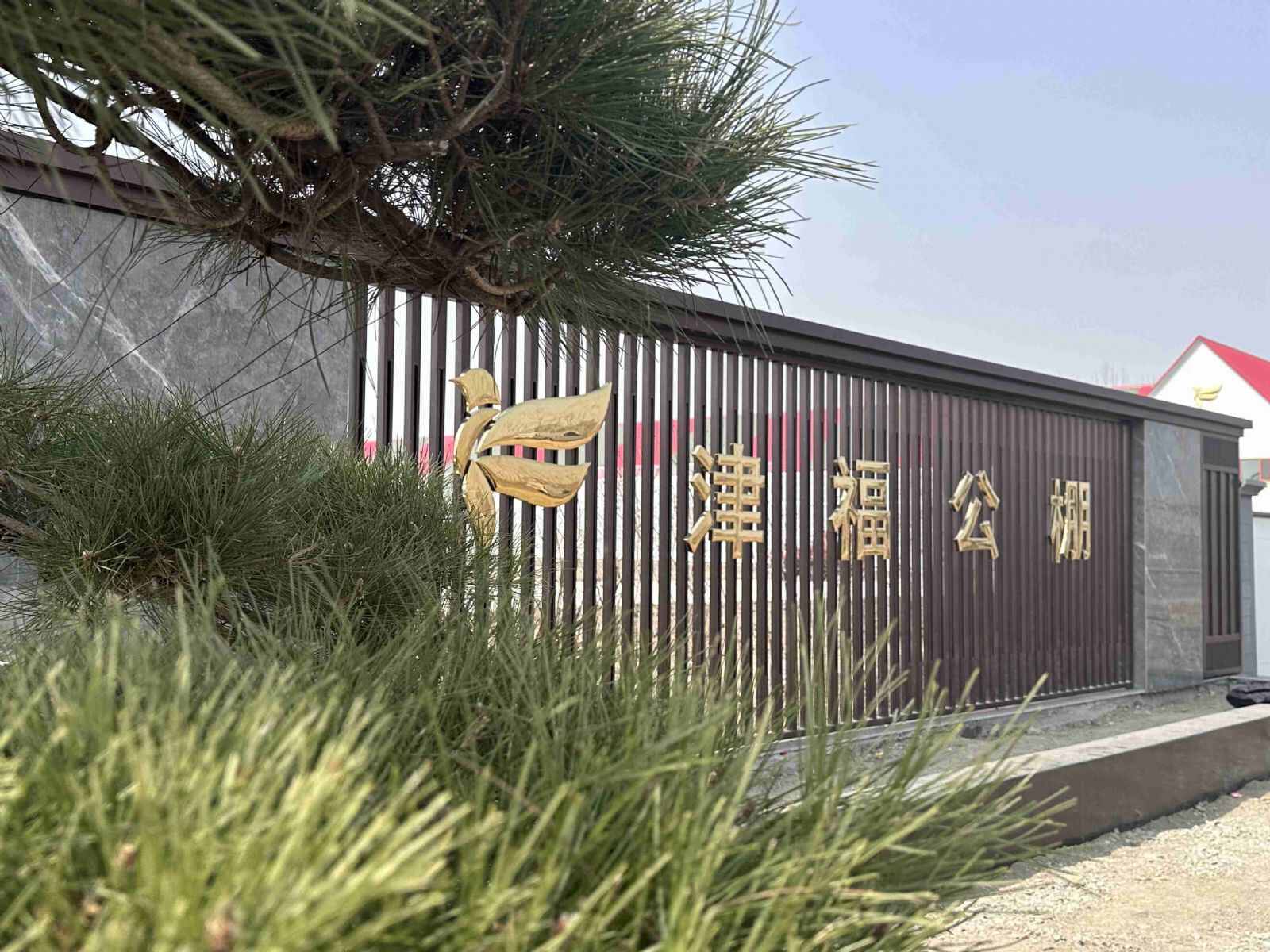 天津市津福赛鸽公棚