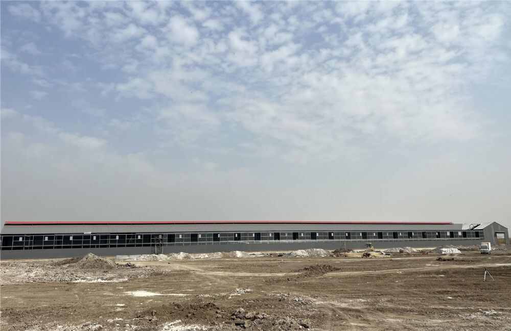 天津龙翔赛鸽公棚