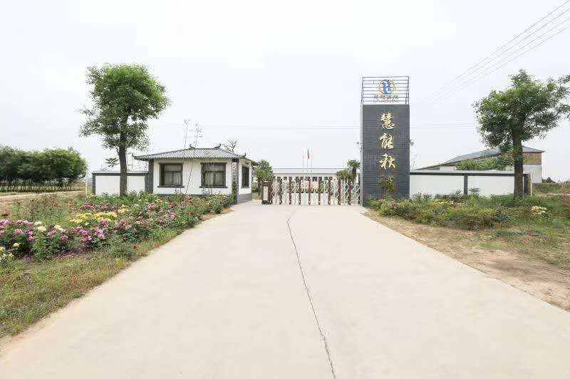 西安慧能信鸽秋棚
