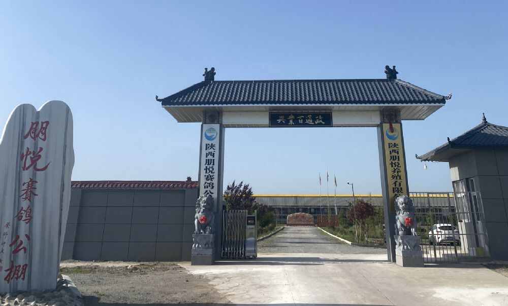 陕西朋悦赛鸽春棚