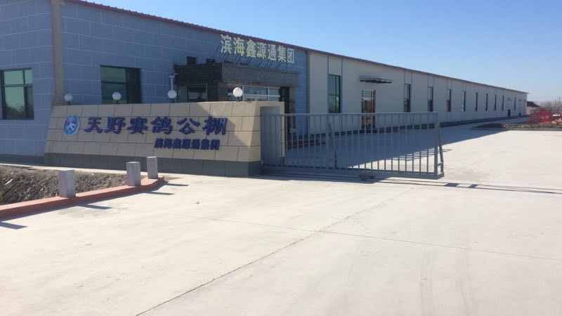 天津市天野赛鸽公棚