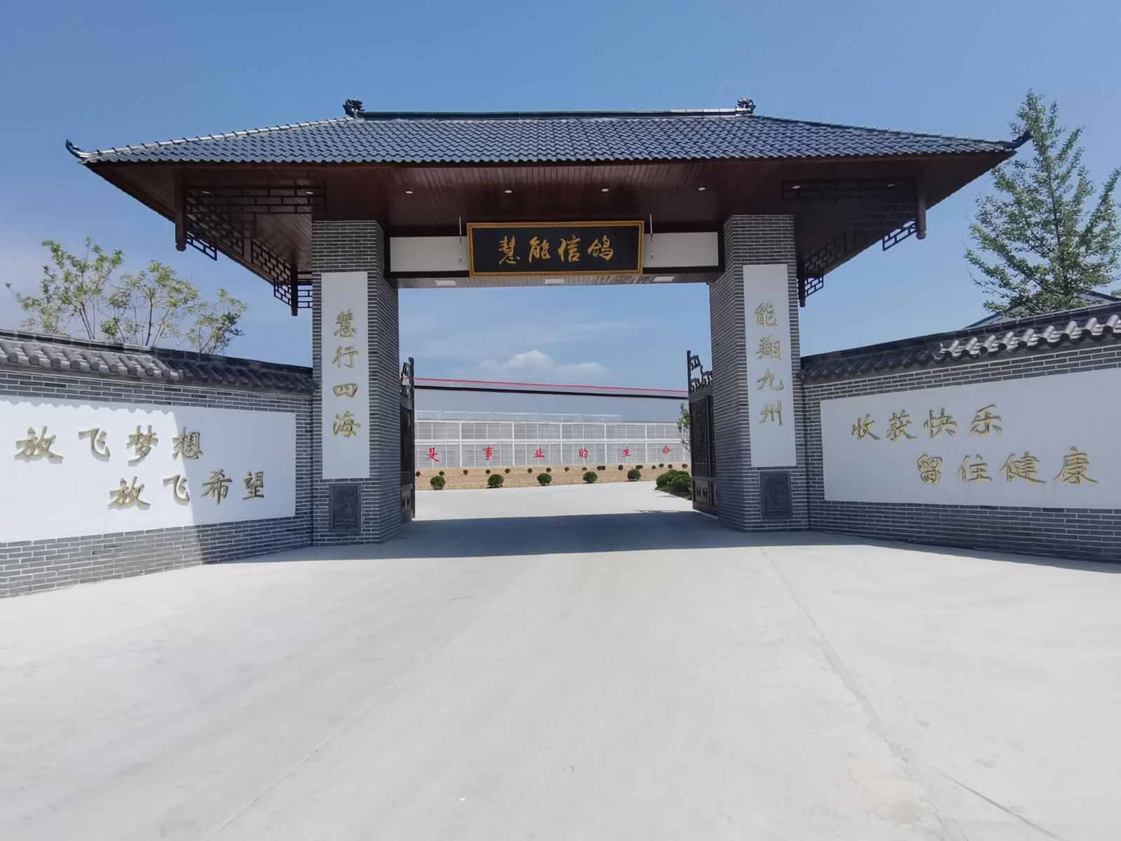 西安慧能信鸽春棚