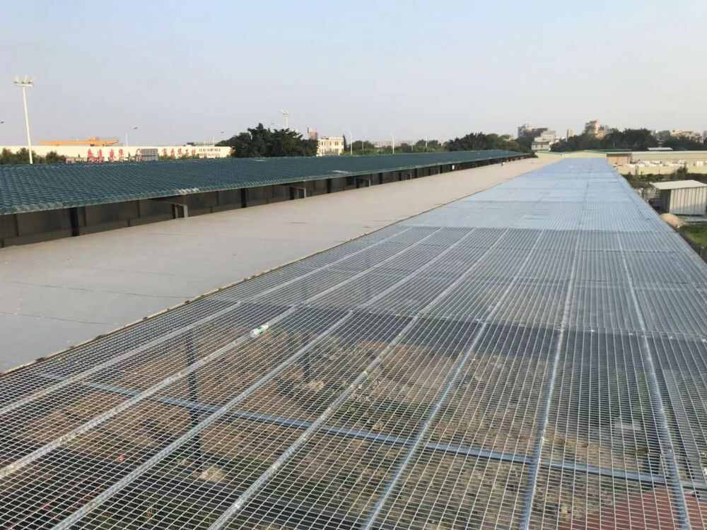 广东省汕头市龙湖赛鸽公棚