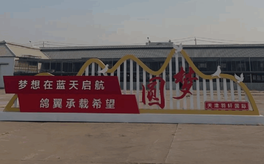 天津羽轩国际赛鸽公棚