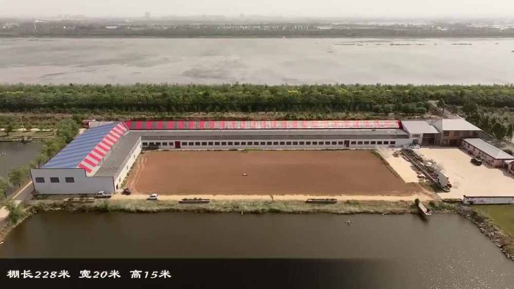 天津天立赛鸽公棚(春棚)