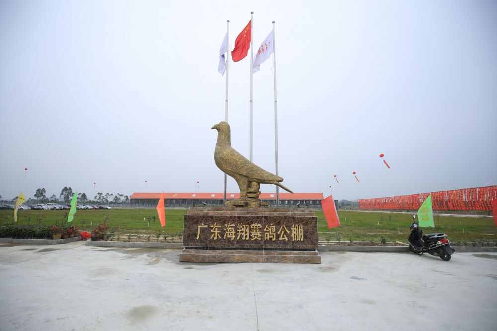 广东海翔赛鸽公棚(秋棚)
