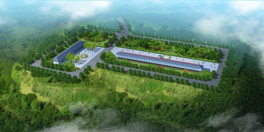 湖南飞翔信鸽公棚