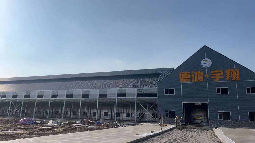 成都德鸿宇翔赛鸽公棚