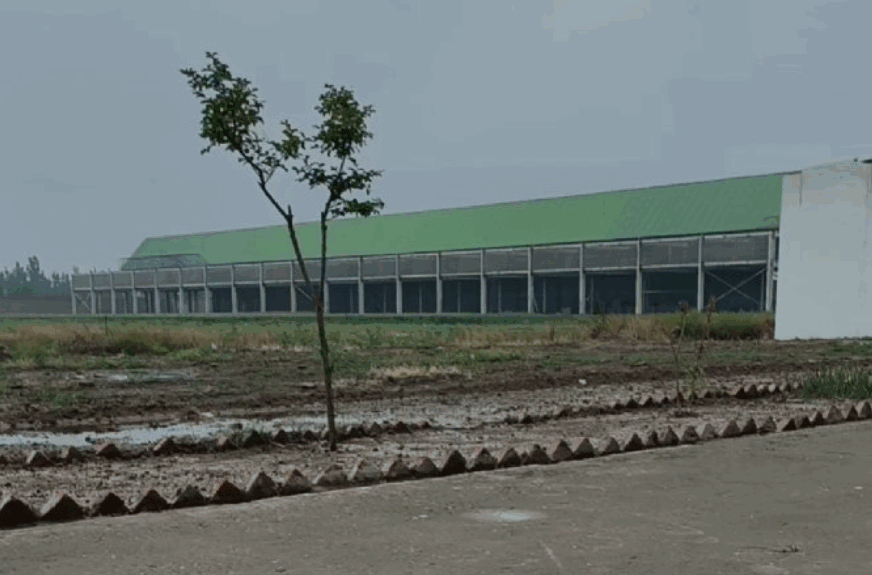 河南开封开翔赛鸽公棚