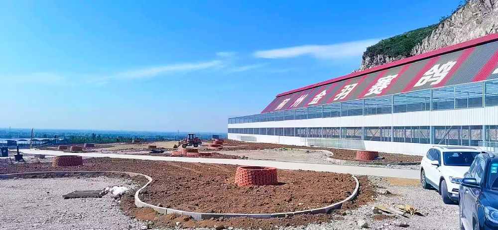 天津市蓟州金羽赛鸽公棚