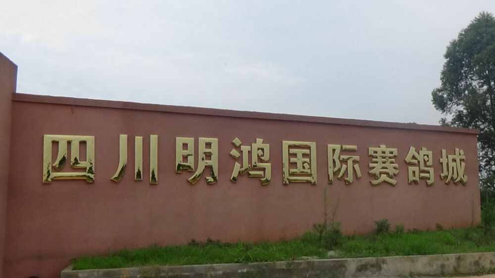 四川明鸿国际赛鸽城