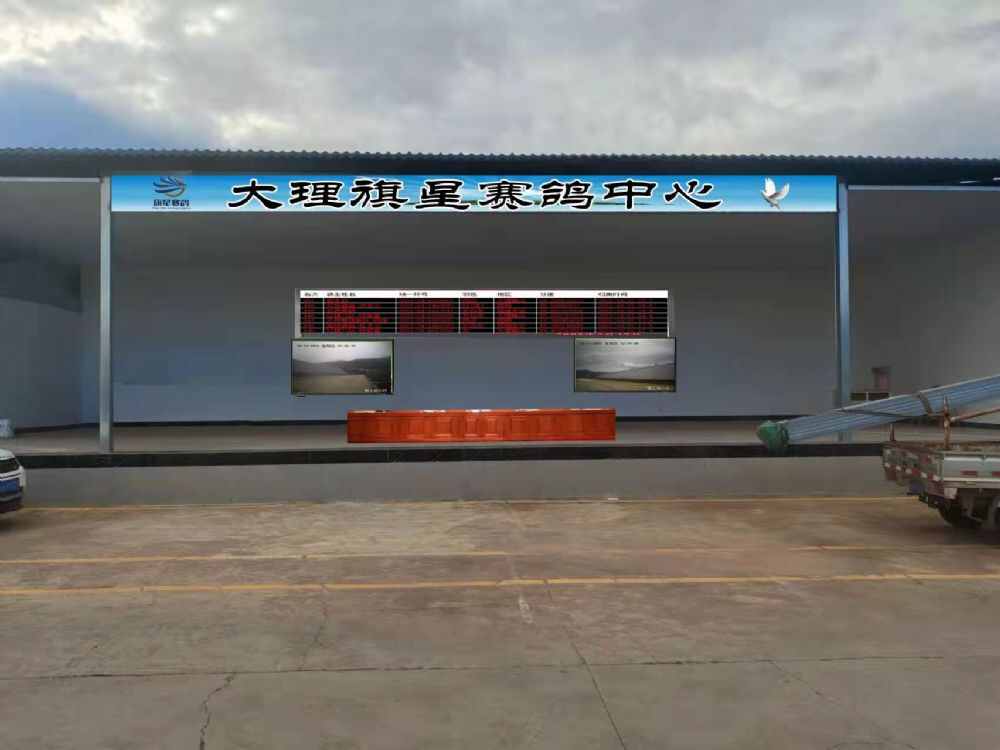 云南大理旗星赛鸽中心