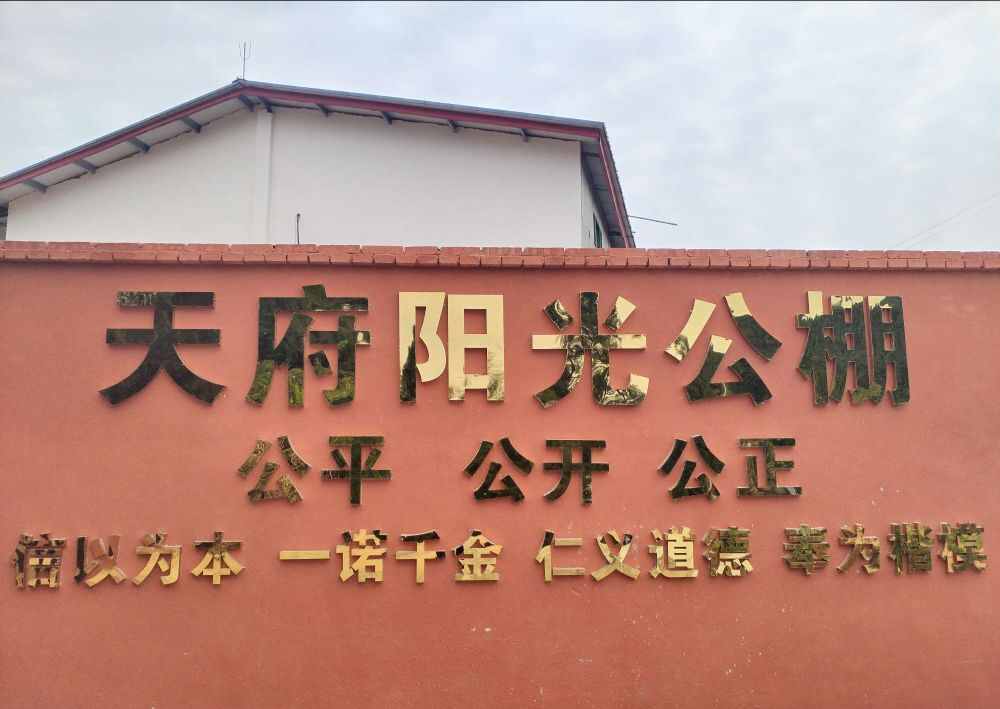 天府阳光赛鸽公棚