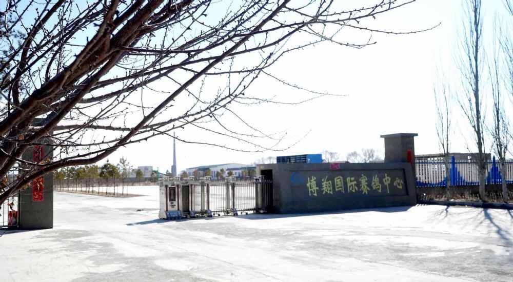 山西博翔赛鸽公棚