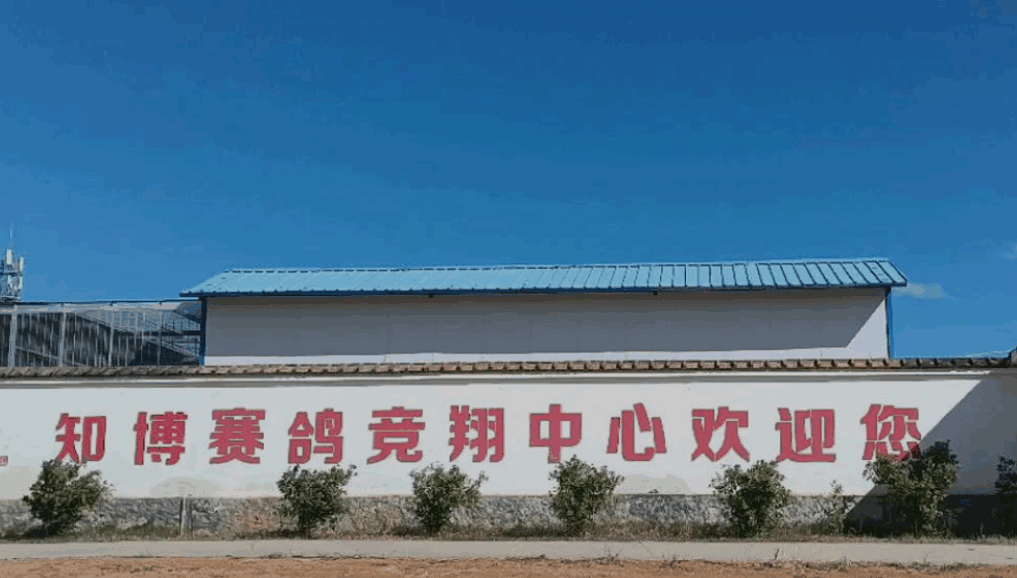 云南知博赛鸽中心