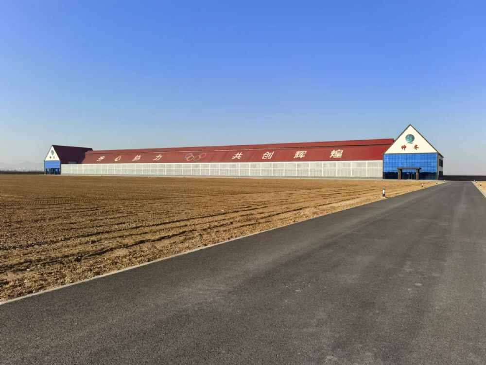 神齐国际赛鸽文化中心
