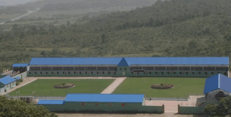 山西龙岗赛鸽公棚