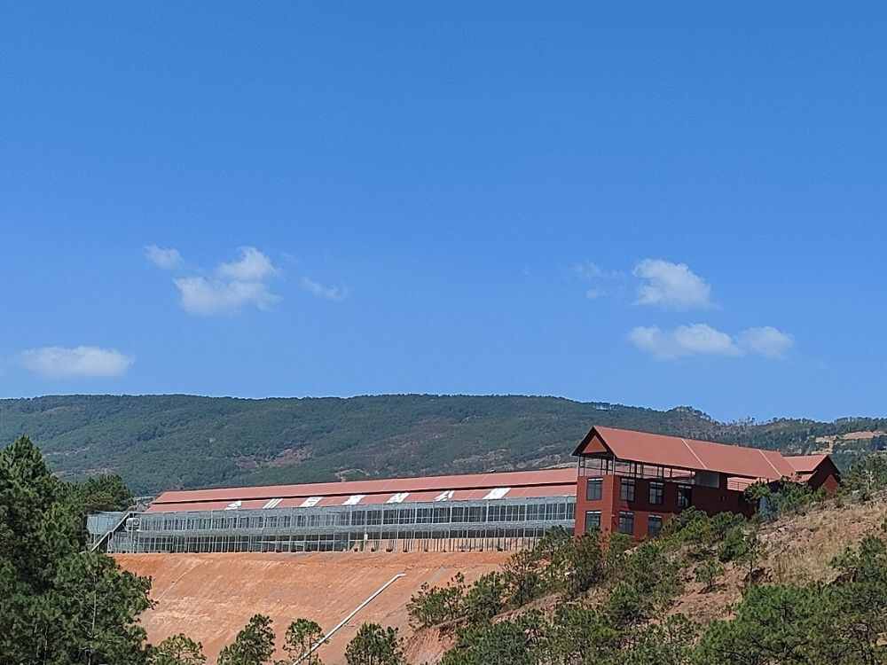 会理会川园赛鸽中心