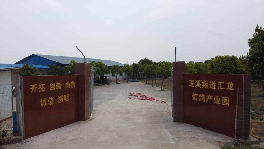 云南玉溪翔进汇龙信鸽产业园（春棚）