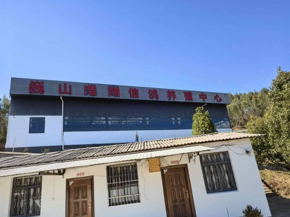 大理巍山浩鸿信鸽养殖中心